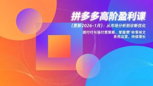 拼多多高阶盈利课(更新2026-1月-天韵资源网