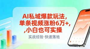 AI私域爆款玩法，单条视频涨粉6W+，小白也可实操-天韵资源网