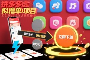 拼多多虚拟撸单项目，跳过选品和测试直接撸单-天韵资源网