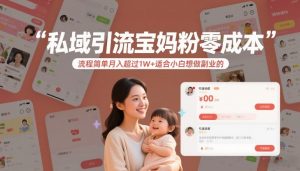 私域引流宝妈粉零成本流程简单月入超过1W+适合小白想做副业的-天韵资源网