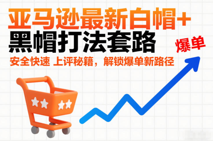 亚马逊最新白帽+黑帽打法套路，安全快速上评秘籍，解锁爆单新路径-天韵资源网