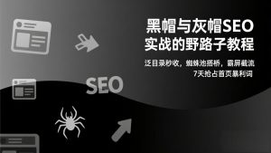 黑帽与灰帽SEO实战的野路子教程：泛目录秒收，蜘蛛池搭桥，霸屏截流，7天抢占首页暴利词-天韵资源网