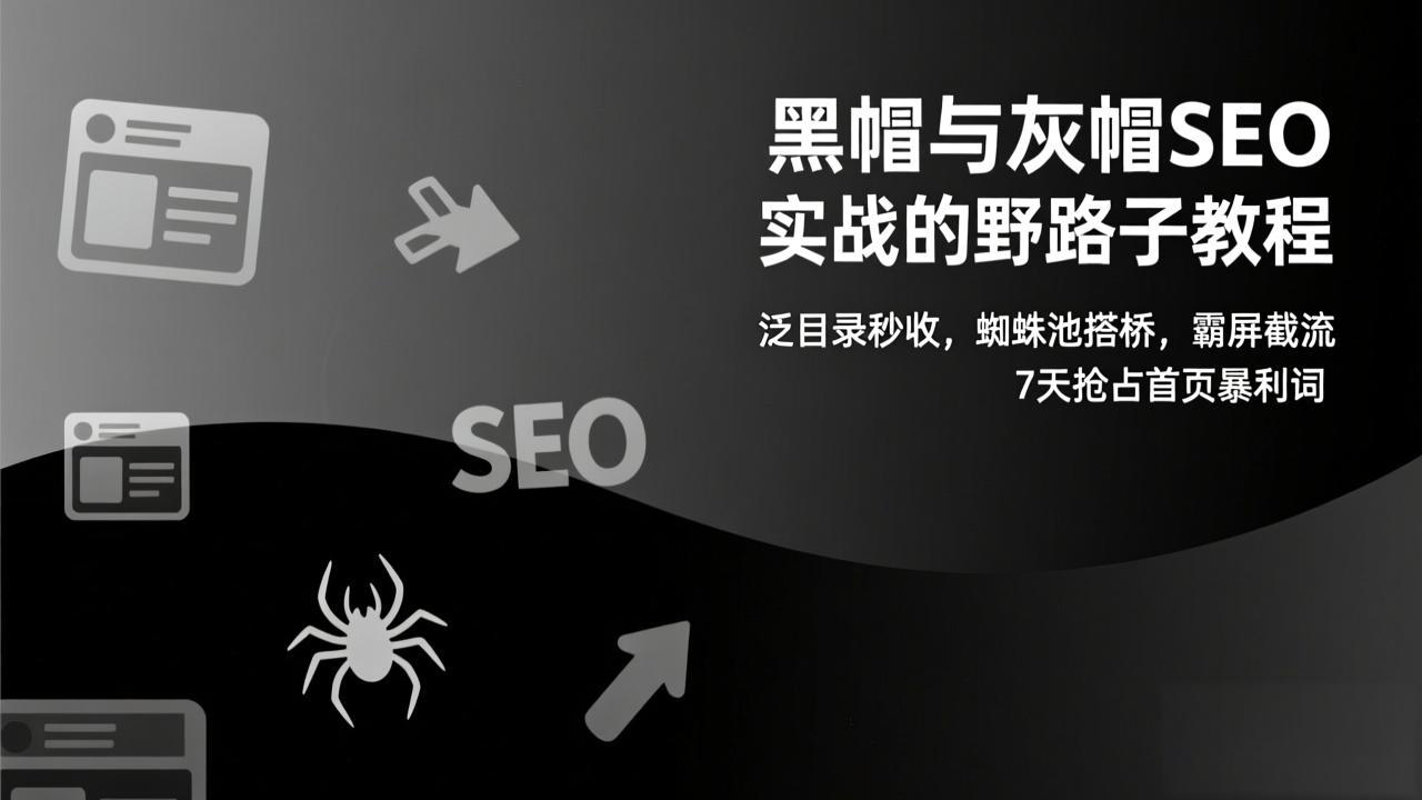 黑帽与灰帽SEO实战的野路子教程：泛目录秒收，蜘蛛池搭桥，霸屏截流，7天抢占首页暴利词-天韵资源网