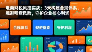 电商财税风控实战：3天构建合规体系，规避稽查风险，守护企业核心利润-天韵资源网