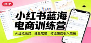 小红书蓝海电商训练营:AI虚拟选品,批量笔记,打造睡后收入系统-天韵资源网