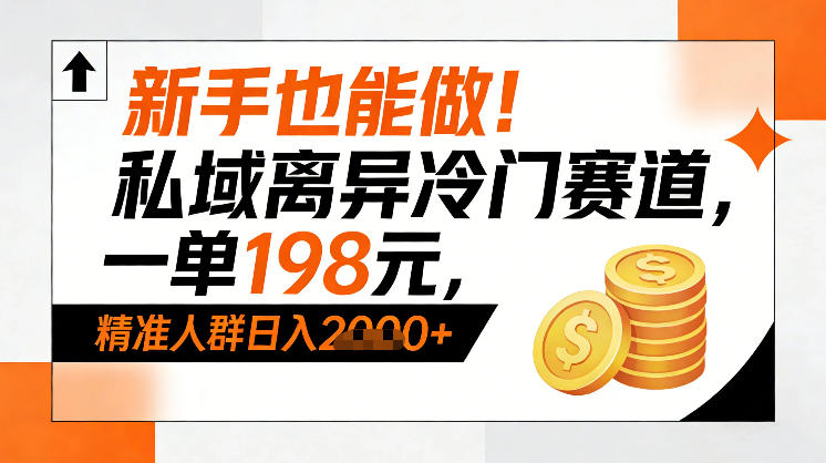 新手也能做！私域离异冷门赛道，一单198，精准人群日入1k+-天韵资源网