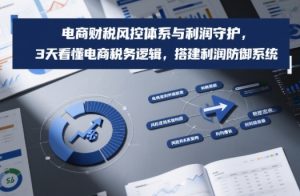 电商财税风控体系与利润守护，3天看懂电商税务逻辑，搭建利润防御系统-天韵资源网