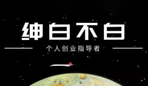 绅白不白·小红书虚拟店铺，IP打法+原创商品(更新2026)-天韵资源网