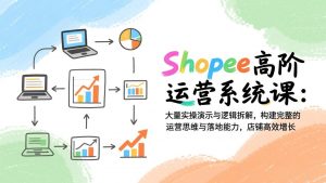 Shopee高阶运营系统课：大量实操演示与逻辑拆解，构建完整的运营思维与落地能力，店铺高效增长-天韵资源网