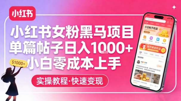 小红书女粉黑马项目，单篇帖子日入1k+，小白零成本上手-天韵资源网