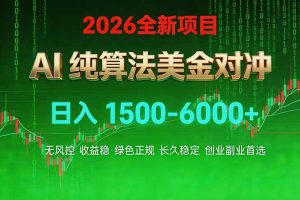 2026 全新美金对冲项目，不套平台赠金，不封号，纯算法对冲，日入 1500-6000+-天韵资源网