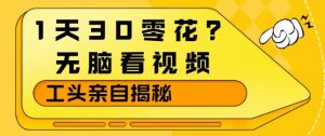 1天30零花？无脑看视频，大佬亲自揭秘-天韵资源网