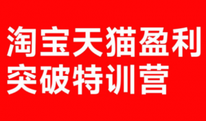 玺承·淘宝天猫盈利突破特训营(25年12月线下课)【音频+字幕】-天韵资源网