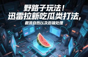 野路子玩法！迅雷拉新吃瓜类打法，截流自热以及后端处理-天韵资源网