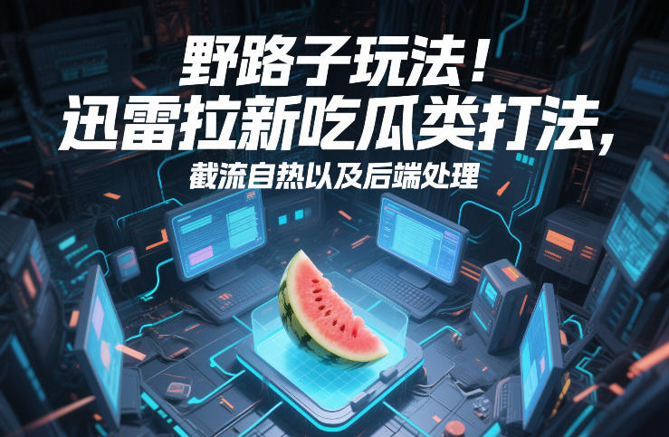 野路子玩法！迅雷拉新吃瓜类打法，截流自热以及后端处理-天韵资源网