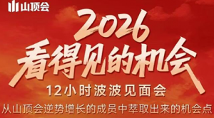 波波·2026看得见的机会12小时波波见面会(东莞线下课2月1日)-天韵资源网