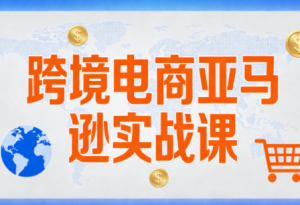 丝丝老师·跨境电商亚马逊实战课(更新2月)-天韵资源网