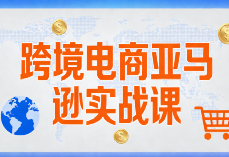 丝丝老师·跨境电商亚马逊实战课(更新2月)-天韵资源网