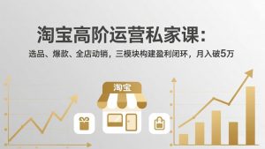 淘宝高阶运营私家课：选品、爆款、全店动销，三模块构建盈利闭环，月入破5万(更新26年2月-天韵资源网