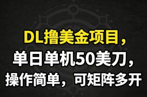 DL撸美金项目,单日单机50美刀,操作简单,可矩阵多开-天韵资源网