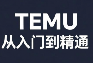 跨境麦冬·TEMU从入门到精通-天韵资源网