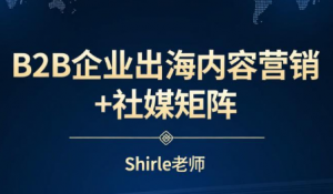 shirle老师·B2B企业出海内容营销+社媒矩阵-天韵资源网