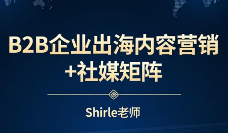 shirle老师·B2B企业出海内容营销+社媒矩阵-天韵资源网