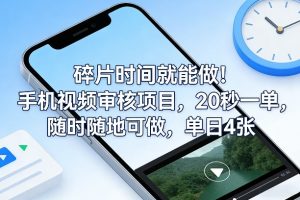 碎片时间就能做！手机视频审核项目，20秒一单，随时随地可做，单日4张+【揭秘】-天韵资源网