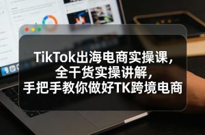 TikTok出海电商实操课，全干货实操讲解，手把手教你做好TK跨境电商-天韵资源网