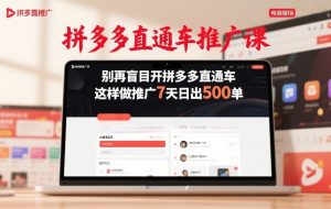 拼多多直通车推广课,别再盲目开拼多多直通车,这样做推广7天日出500单-天韵资源网