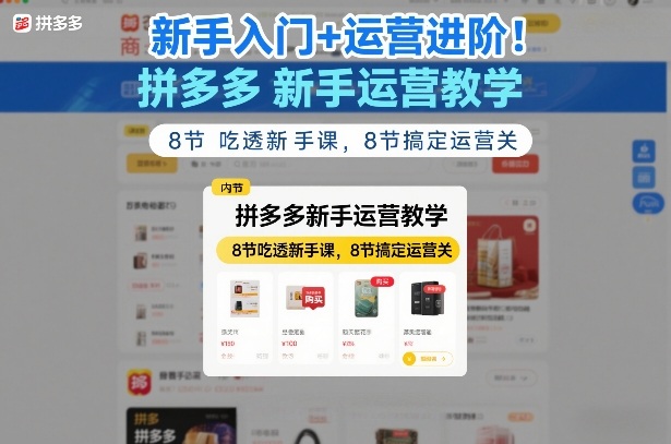 新手入门+运营进阶！拼多多新手运营教学，8节吃透新手课，8节搞定运营关-天韵资源网