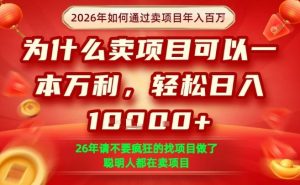 一单净利润1K+，26年想年入100个W，死磕卖项目就够了【揭秘】-天韵资源网