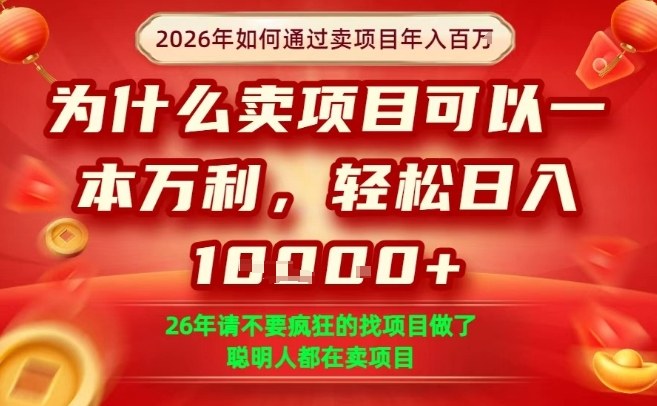 一单净利润1K+，26年想年入100个W，死磕卖项目就够了【揭秘】-天韵资源网