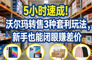 5小时速成！沃尔玛转售3种套利玩法，新手也能闭眼賺差价-天韵资源网