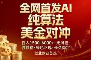 全网首发项目！AI美金算法对冲，日入2000-6000+，稳定长效0风险，彻底告别996，创业、副业逆...-天韵资源网