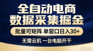 独家电商数据全自动采集项目，批量可矩阵，单窗口轻松日入3张+【揭秘】-天韵资源网