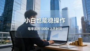 2026新项目，小白也能稳操作，每单盈利1000+上不封顶-天韵资源网