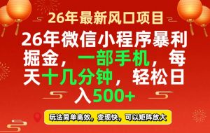 26年微信小程序最暴利玩法，每天十几分钟，稳稳日入500+-天韵资源网