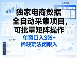 独家电商数据全自动采集项目，可批量矩阵操作，单窗口日入3张+，稀缺玩法闭眼入【揭秘】-天韵资源网