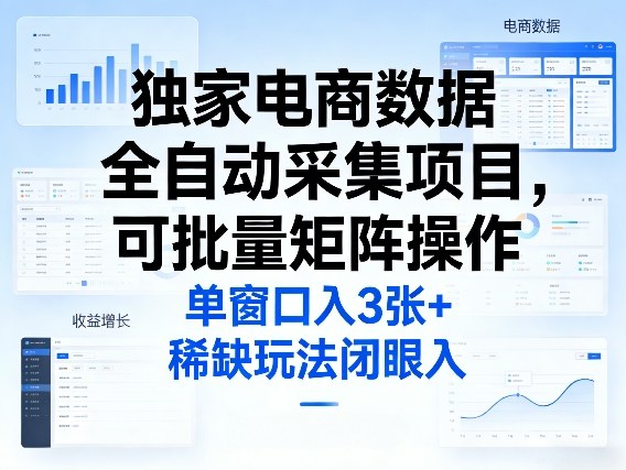 独家电商数据全自动采集项目，可批量矩阵操作，单窗口日入3张+，稀缺玩法闭眼入【揭秘】-天韵资源网