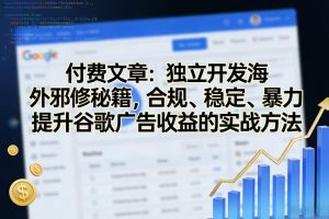 付费文章：独立开发海外邪修秘籍，合规、稳定、暴力提升谷歌广告收益的实战方法-天韵资源网