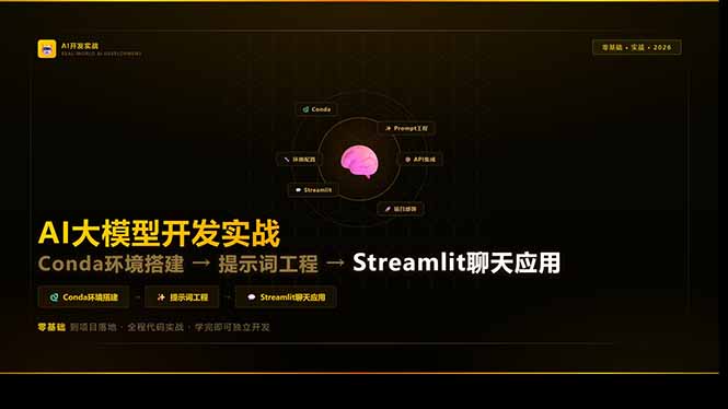 AI大模型开发实战：Conda环境搭建→提示词工程→Streamlit聊天应用，零基础到项目落地-天韵资源网