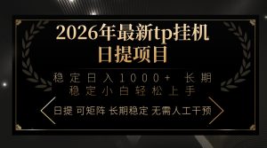 2026年最新tp挂机日提项目：稳定日入1000+小白轻松上手-天韵资源网
