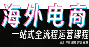 Demo老师·东南亚5国TikTok Shop运营课-天韵资源网