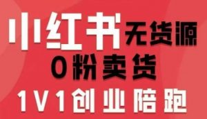 小红书无货源0粉电商课，开店准备、选品策略、笔记撰写、视频剪辑、数据分析、账号打造、资料文档(更新26年3月)-天韵资源网