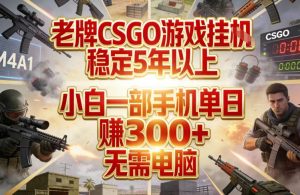 老牌CSGO游戏挂G，稳定5年以上，小白一部手机单日賺3张+，无需电脑【揭秘】-天韵资源网