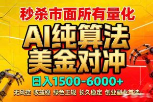 2026全网首发黑马项目，AI美金算法对冲，日入2000-6000+，稳定长效0风险，彻底告别996死工资-天韵资源网