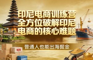 印尼电商训练营，全方位破解印尼电商的核心难题，普通人也能出海掘金-天韵资源网