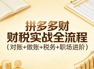 拼多多财税实战全流程(对账+做账+税务+职场进阶)-天韵资源网