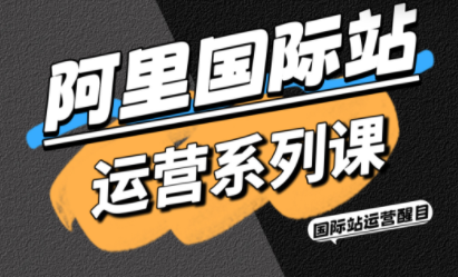 醒目老师·阿里国际站运营系列课(更新3月)-天韵资源网